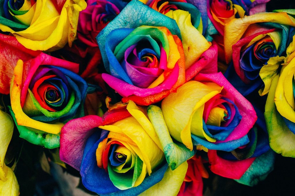 Couleurs