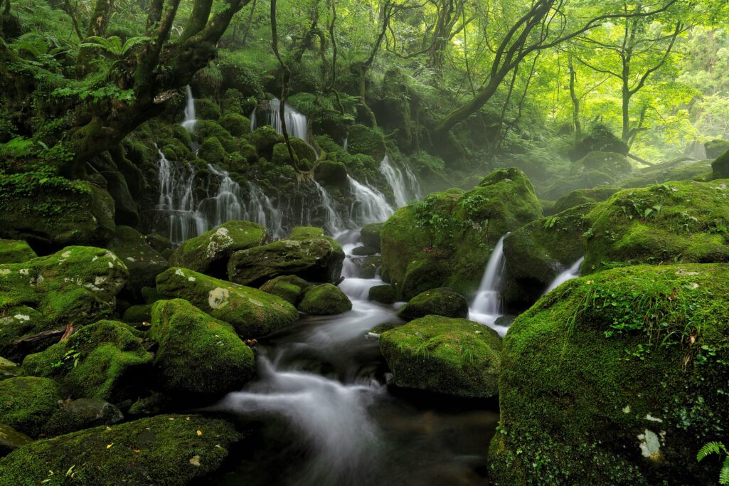 Cascades
