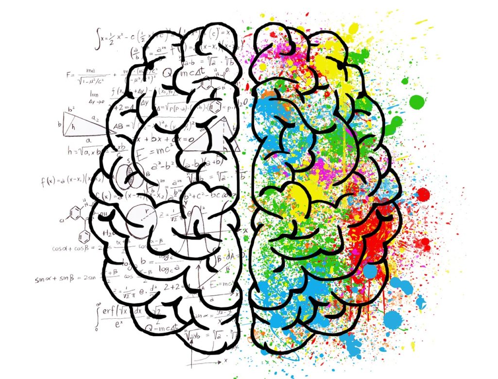 Le cerveau et les 5 sens
