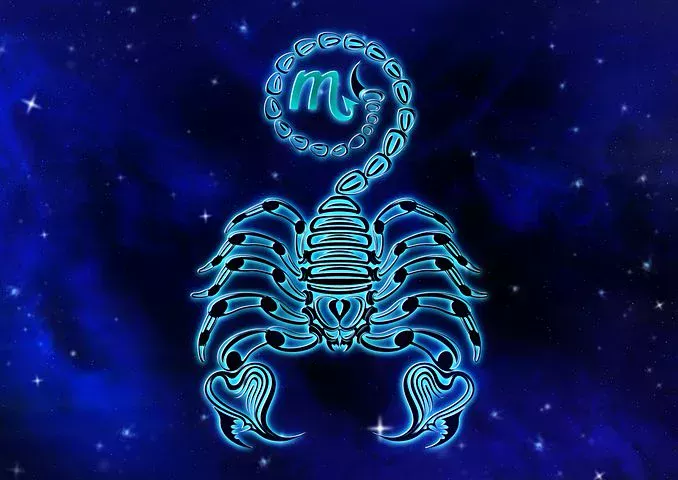 Scorpion, maison 8, signe astrologique